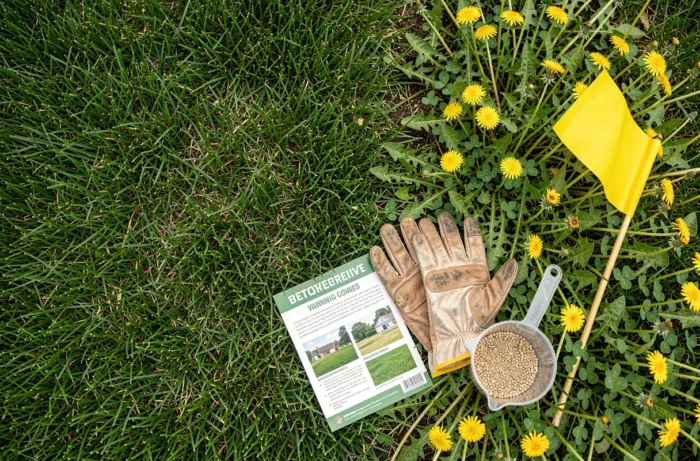 Vue de dessus des outils de traitement sélectif du gazon avec herbicide granulaire et guide d'entretien